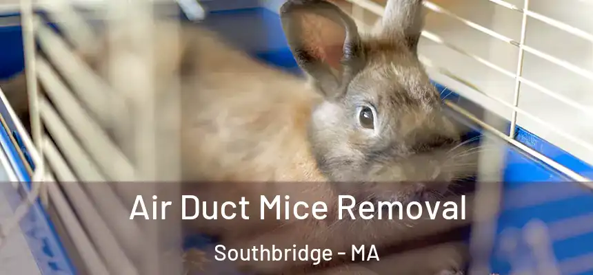 Air Duct Mice Removal Southbridge - MA