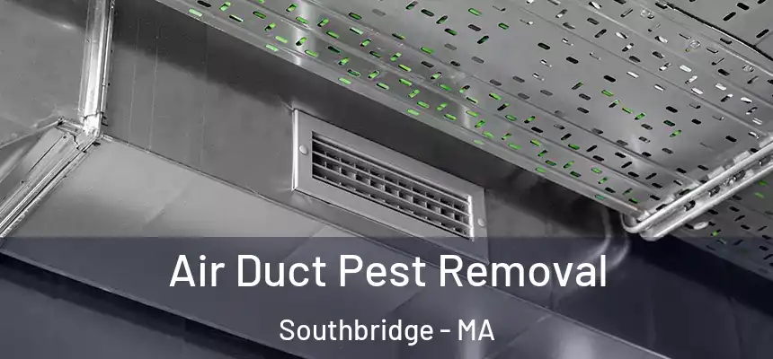 Air Duct Pest Removal Southbridge - MA