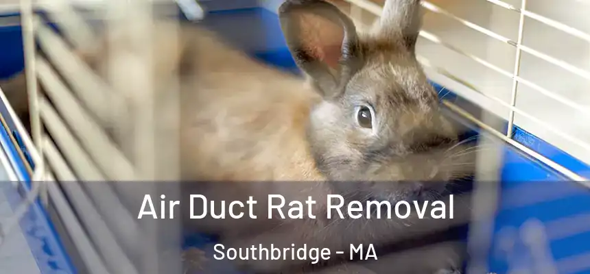 Air Duct Rat Removal Southbridge - MA