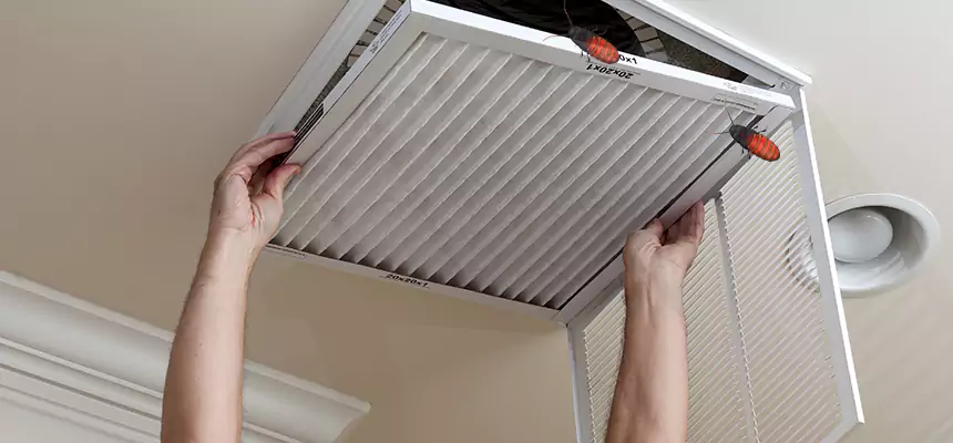 Preventive Cockroach-Proofing for Ducts in Southbridge