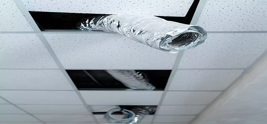 Our Air Duct Pet Hair Removal Services in Southbridge, MA