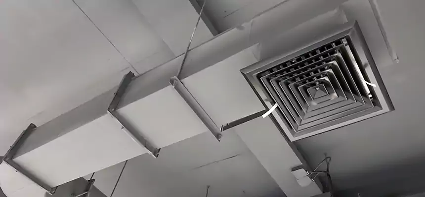 Our Pest Removal From Ducts Services in Southbridge, MA