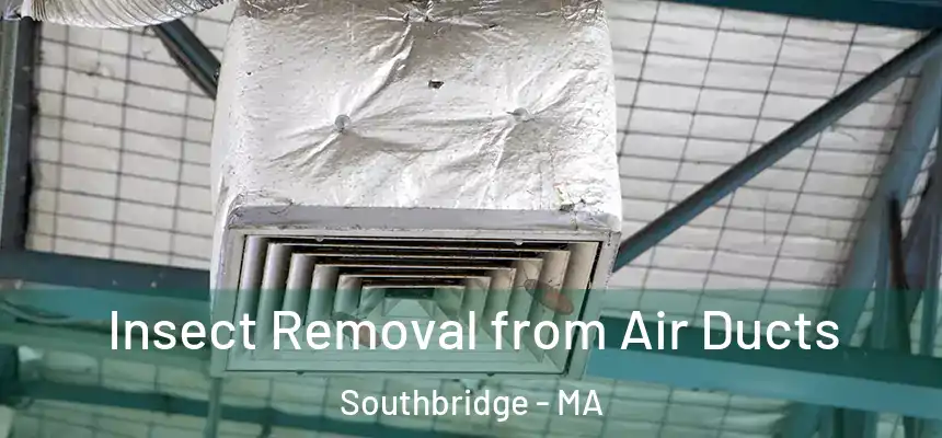 Insect Removal from Air Ducts Southbridge - MA