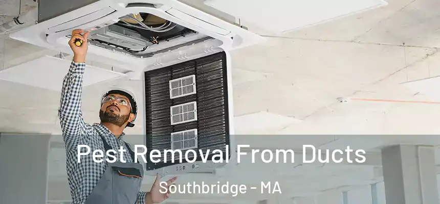 Pest Removal From Ducts Southbridge - MA