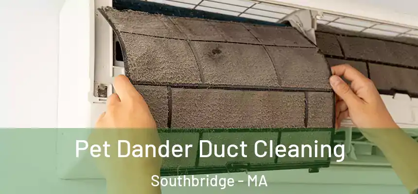 Pet Dander Duct Cleaning Southbridge - MA