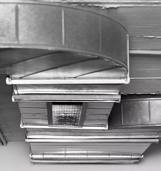 Professional Air Duct Pest Removal in Southbridge, MA