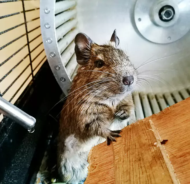 Why Homeowners & Businesses Trust Us Southbridge, MA